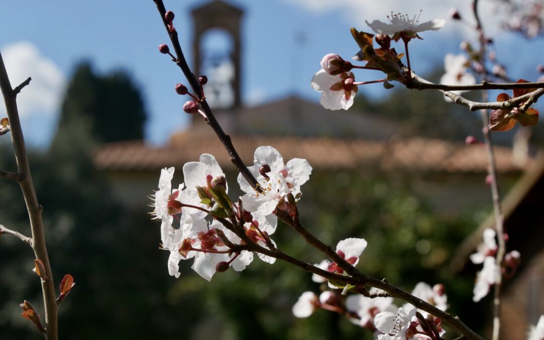 Visioni di cima